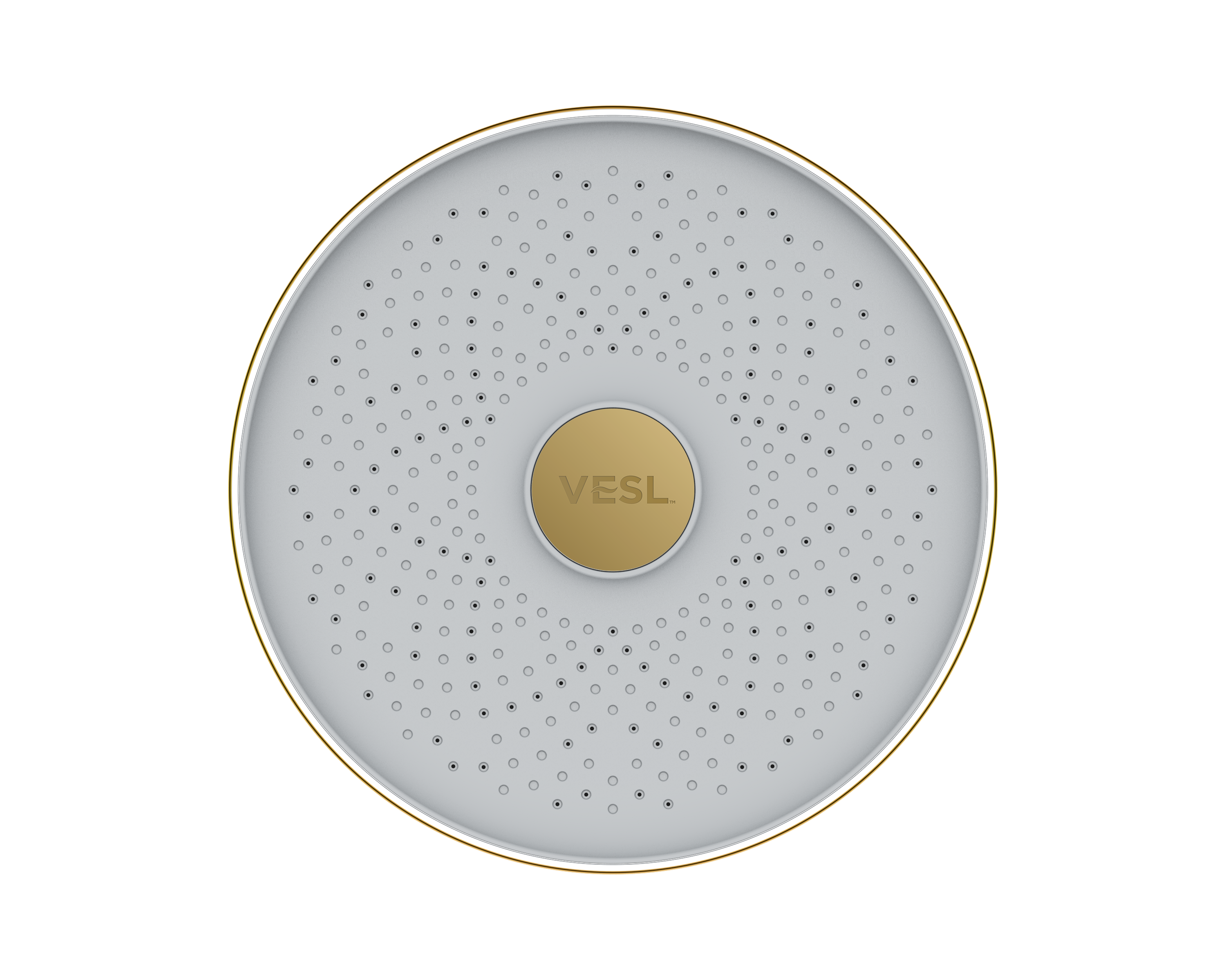 VESL Filtered Showerhead