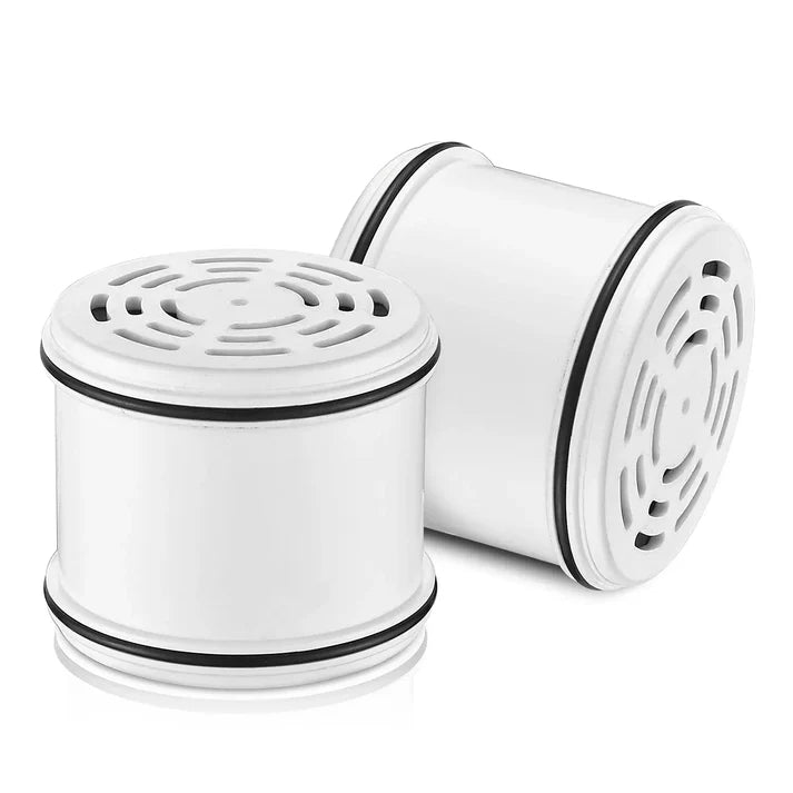 VESL Replacement Filter