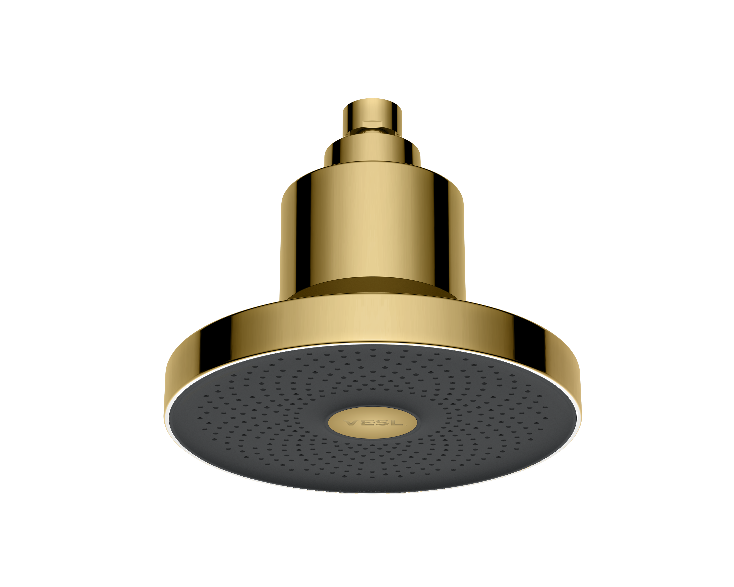 VESL Filtered Showerhead