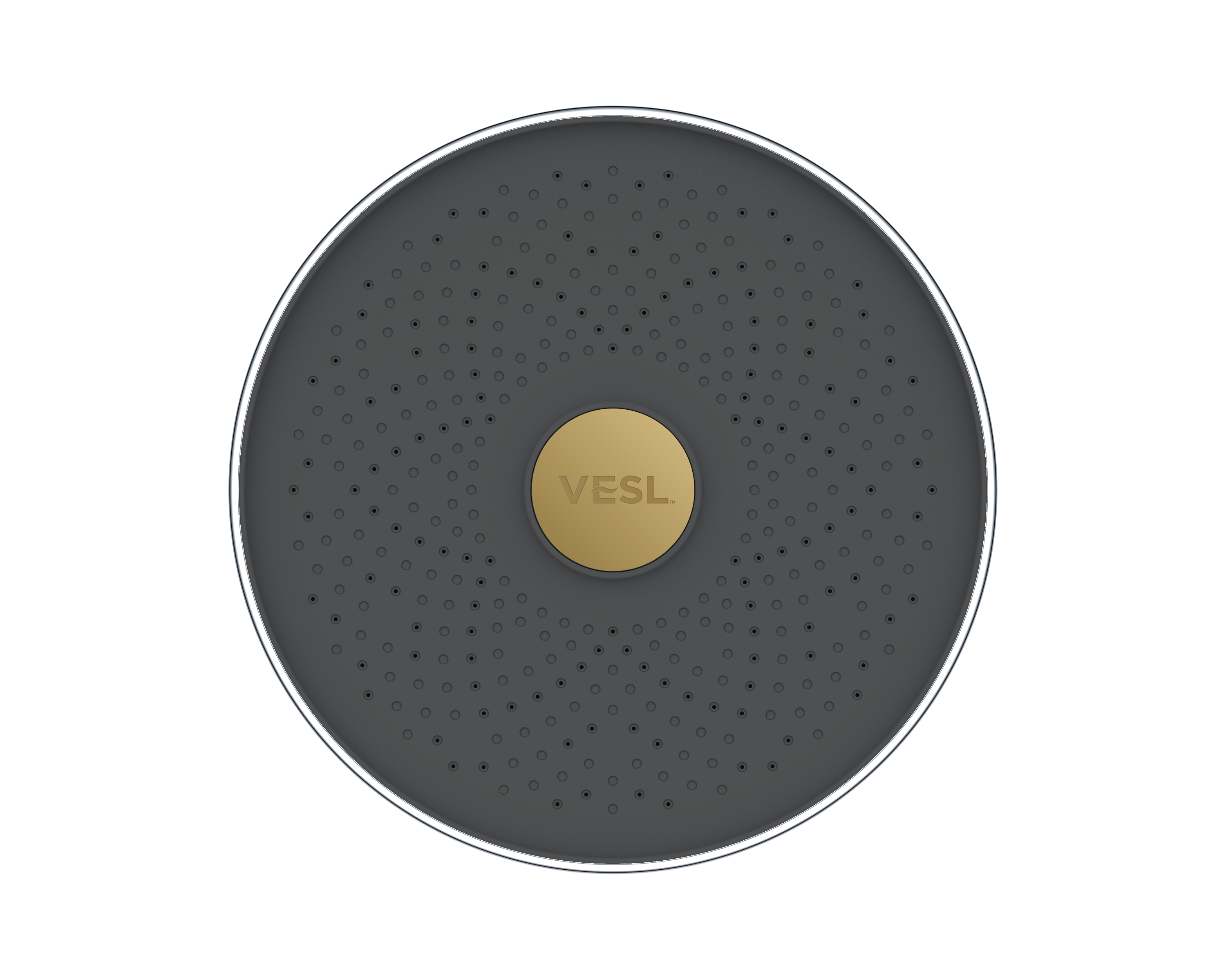 VESL Filtered Showerhead