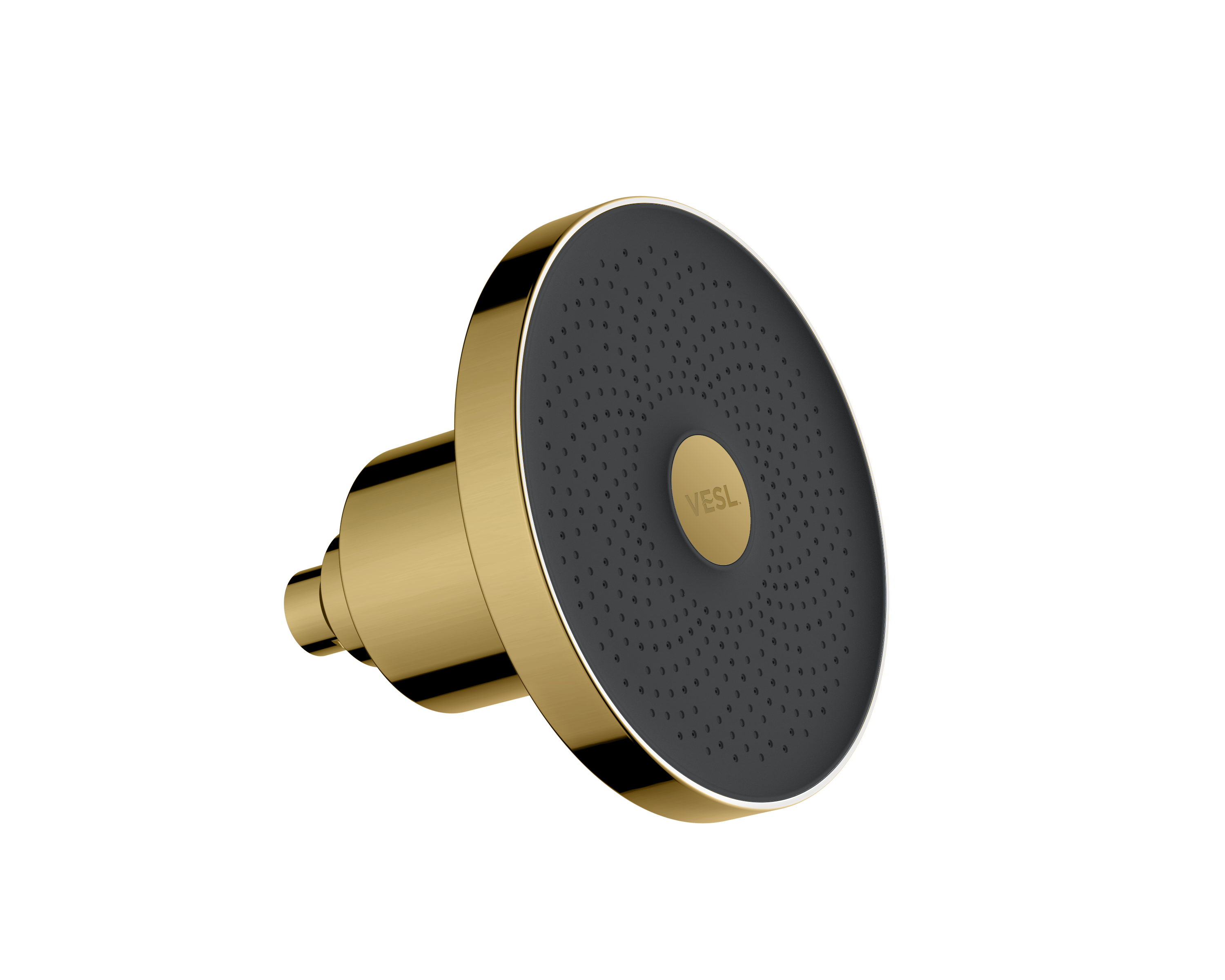 VESL Filtered Showerhead