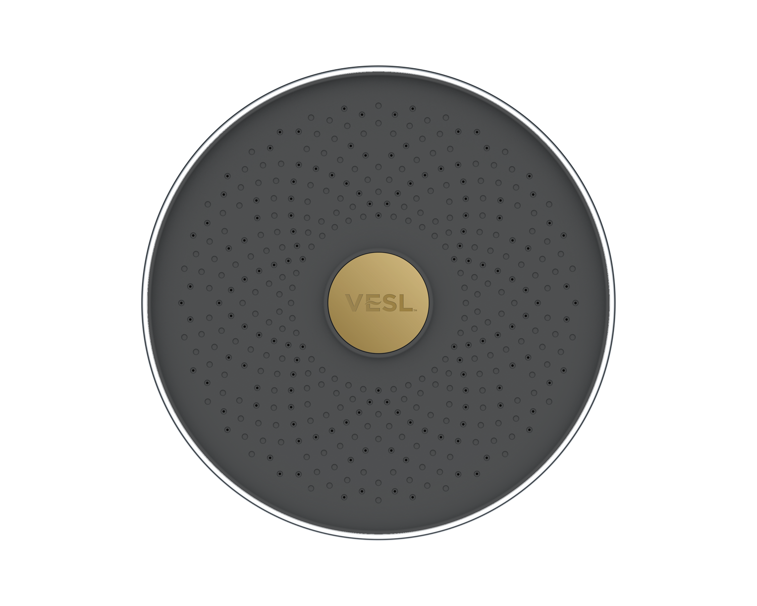 VESL Filtered Showerhead