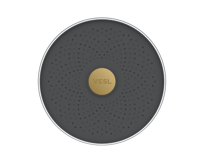 VESL Filtered Showerhead
