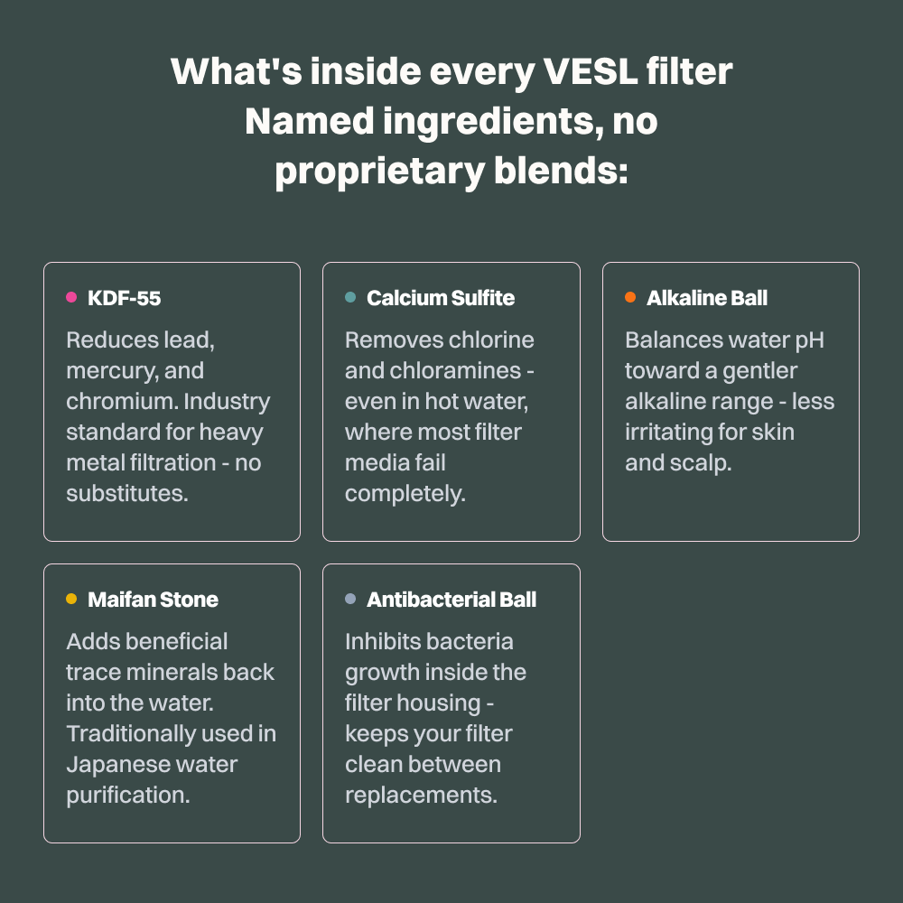 VESL Filtered Showerhead