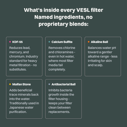 VESL Filtered Showerhead